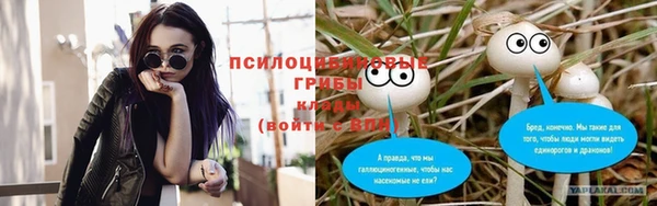 тгк Алексин
