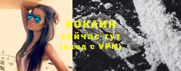 тгк Алексин