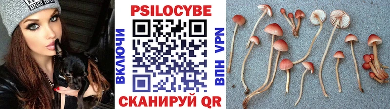 Псилоцибиновые грибы Cubensis  Шатура 